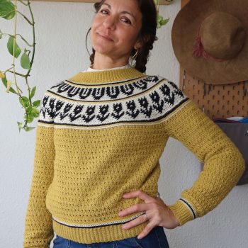 garabato-sweater-jersey-tapestry-crochet-canesu-circular-yoke-por-cecilia-losada-mammadiypatterns-12