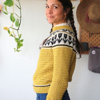 garabato-sweater-jersey-tapestry-crochet-canesu-circular-yoke-por-cecilia-losada-mammadiypatterns-16