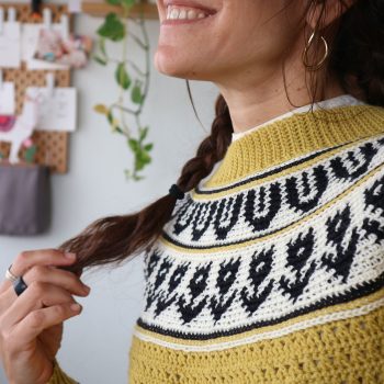 garabato-sweater-jersey-tapestry-crochet-canesu-circular-yoke-por-cecilia-losada-mammadiypatterns-25