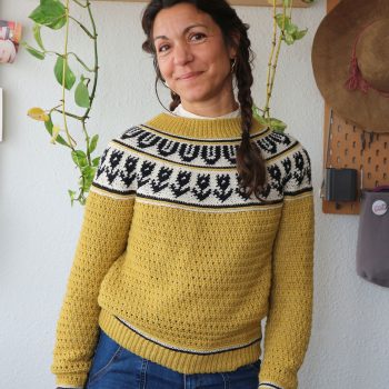 garabato-sweater-jersey-tapestry-crochet-canesu-circular-yoke-por-cecilia-losada-mammadiypatterns-9